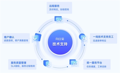 数字认证服务商如何构建高效技术支持体系？贝锐向日葵助力数字化转型